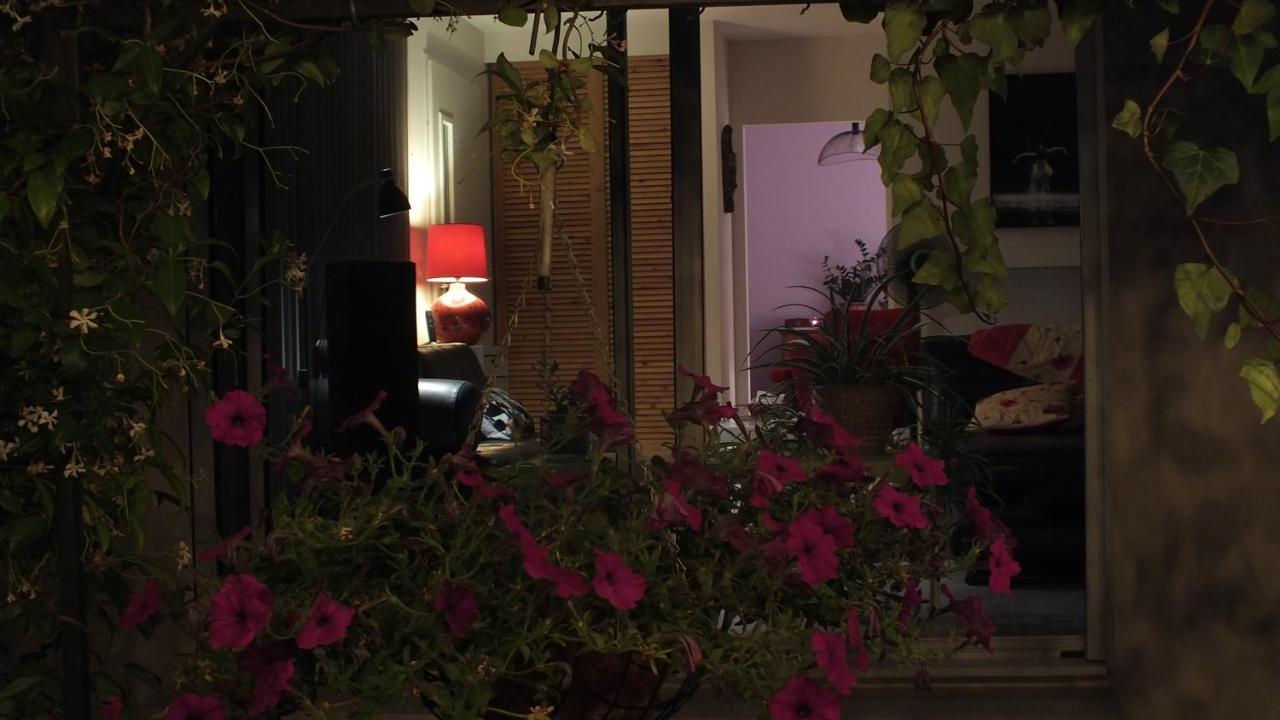 הוילה Morieres-les-Avignon La Maison Sous L'Olivier מראה חיצוני תמונה